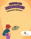 Creuser Des Dinosaures