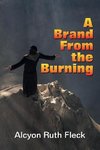 A Brand From the Burning