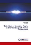 Detection of Interdisc Faults in the Windings of Power Transformer