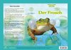 Natur-Kamishibai - Der Frosch