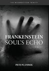Frankenstein Soul's Echo