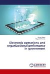 Electronic operations and organizational perfomance in government
