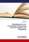 Developments on Convection Induced by Surface Tension and Buoyancy