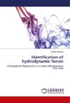 Identification of hydrodynamic forces