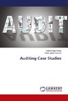 Auditing Case Studies