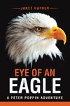 Eye of an Eagle