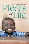 Pieces of Life