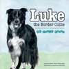Luke the Border Collie