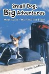 Small Dog, Big Adventures
