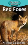 Red Foxes