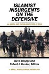 Islamist Insurgents on the Defensive
