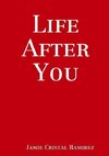 Life After You