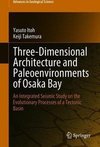 Itoh, Y: Three-Dimensional Architecture and Paleoenvironment