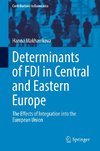 Determinants of FDI in Central and Eastern Europe