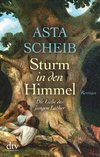 Scheib, A: Sturm in den Himmel