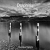 Dolphins - Volume 2