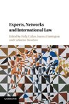 Experts, Networks and International Law