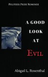 A Good Look At Evil