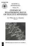 Chemical Weathering Rates of Silicate Minerals