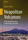 Carlino, S: Neapolitan Volcanoes