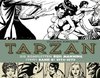 Tarzan: Die kompletten Russ Manning Strips / Band 8 1976 - 1979