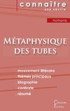 Fiche de lecture Métaphysique des tubes de Amélie Nothomb (Analyse littéraire de référence et résumé complet)