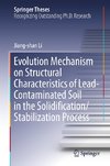 Evolution Mechanism on Structural Characteristics of Lead-Contaminated Soil in the Solidification/Stabilization Process