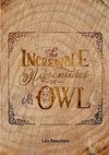 The Incredible Adventures of Mr Owl
