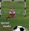 Special Goalie