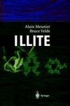 Illite