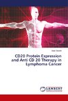 CD20 Protein Expression and Anti CD 20 Therapy in Lymphoma Cancer