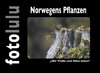 Norwegens Pflanzen