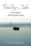 The Finding Calm