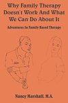 Why Family Therapy Doesn't Work and What We Can Do about It
