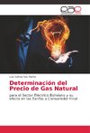 Determinación del Precio de Gas Natural