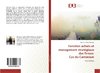 Fonction achats et management stratégique des firmes: Cas du Cameroun