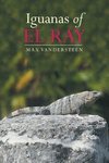 Iguanas of El Ray