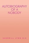 Autobiography of a Nobody