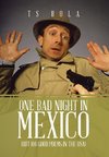 One Bad Night in Mexico