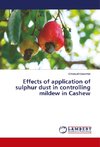Effects of application of sulphur dust in controlling mildew in Cashew