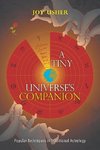 A Tiny Universe'S Companion