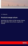 Practical orange culture