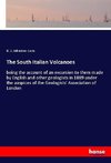 The South Italian Volcanoes
