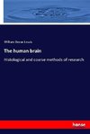 The human brain