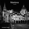 Mantova - Fine Art