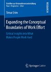 Expanding the Conceptual Boundaries of Work Effort