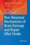 Non-Neuronal Mechanisms of Brain Damage and Repair After Stroke
