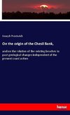 On the origin of the Chesil Bank,