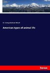 American types of animal life