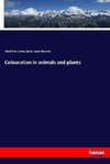 Colouration in animals and plants